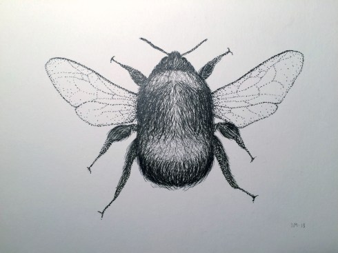 Rødlistet 2 (humle)