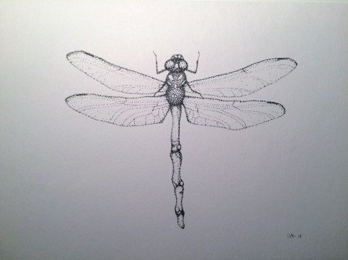 Rødlistet 3 (øyenstikker)