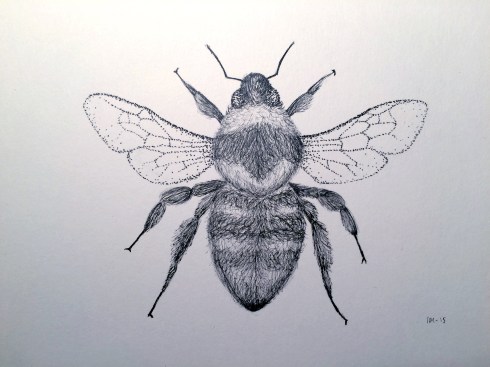 Rødlistet 5 (kløverhumle)