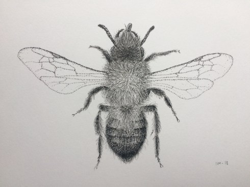 627AEDD6-993D-4922-8DC7-D68A536C8150