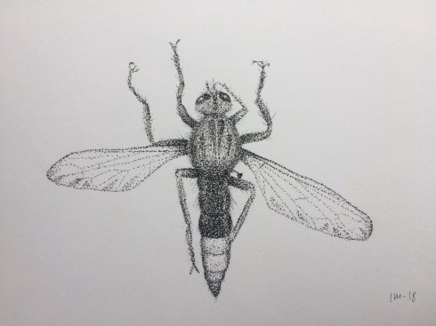 A1CEED5A-9031-4F40-8F49-2DE4E73DFFF6