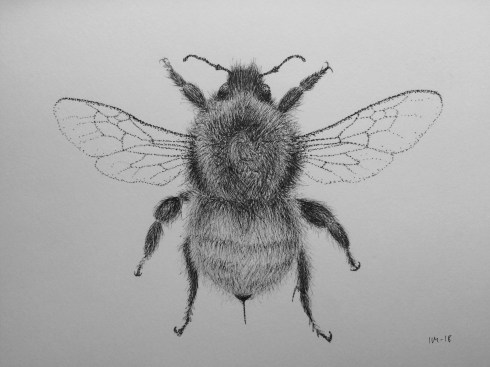 Processed with VSCO with b1 preset